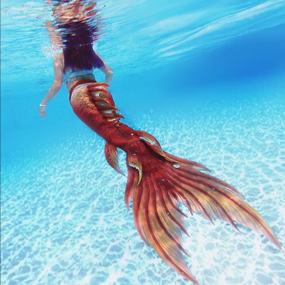 Meet your Posher, Tina - Picture 7 of 11